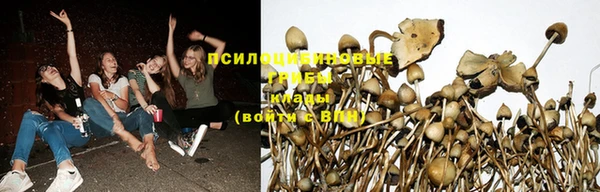 бошки Олёкминск