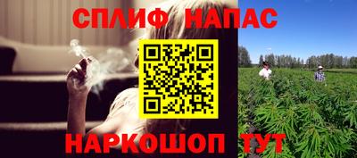 амф Гай