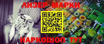 кокс Гатчина