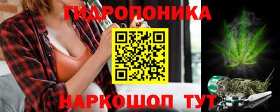 кокс Гатчина