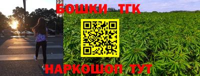 амф Гай