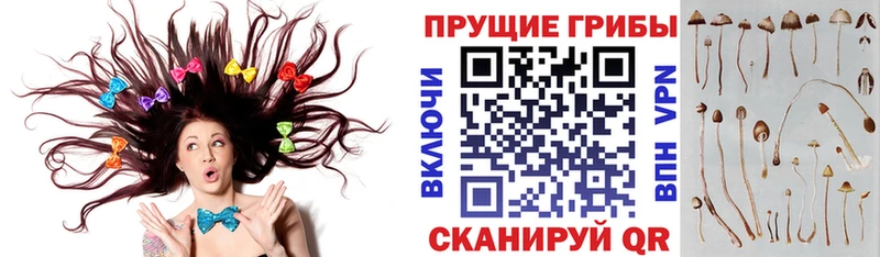 Псилоцибиновые грибы мицелий  Рыбинск 